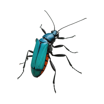 AI generated Insect isolated on transparent background png