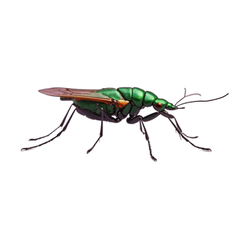 AI generated Insect isolated on transparent background png