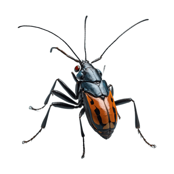 AI generated Insect isolated on transparent background png