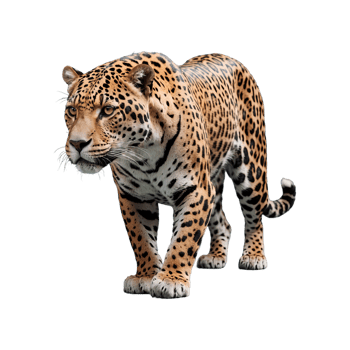 AI generated Jaguar isolated on transparent background png