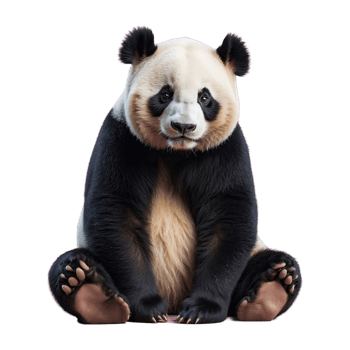 AI generated Panda isolated on transparent background png