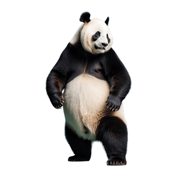 AI generated Panda isolated on transparent background png