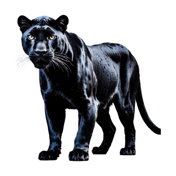 AI generated Panther isolated on transparent background png