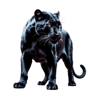 AI generated Panther isolated on transparent background png