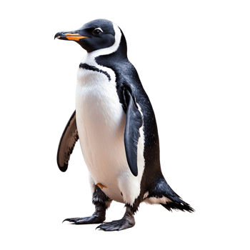 AI generated Penguin isolated on transparent background png