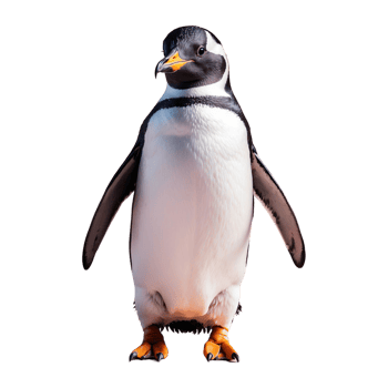 AI generated Penguin isolated on transparent background png