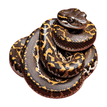 AI generated Python isolated on transparent background png