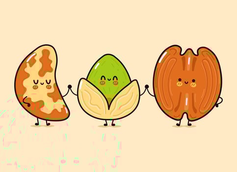 Cute, funny happy Brazilian nut, Pistachio and Pecan. Vector hand drawn cartoon kawaii characters, illustration icon. Funny cartoon Brazilian nut, Pistachio, Pecan mascot friends concept