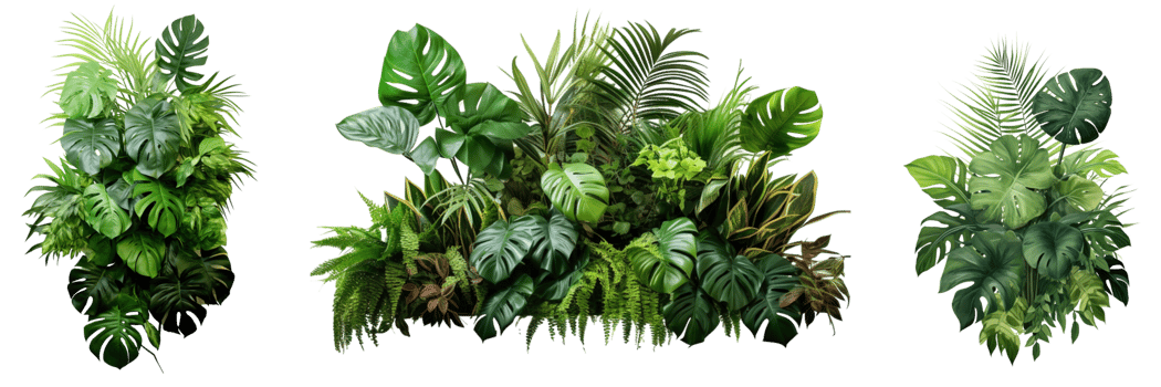 AI generated set of tropical leaves foliage plant jungle bush floral arrangement nature backdrop on transparent background png