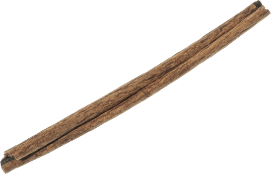 cinnamon stick cut out on transparent background. png