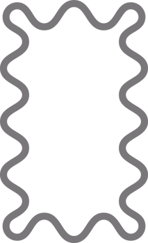 Y2k squiggle frame. Zigzag wavy border for story. Rectangle serrated retro groovy shape. Cute funky geometric posters for modern design. Vector aesthetic elements. png