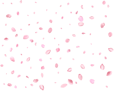 Falling realistic sakura petals. png