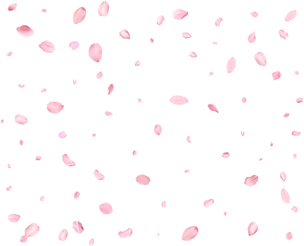 Falling realistic sakura petals. png
