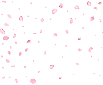 Falling realistic sakura petals. png