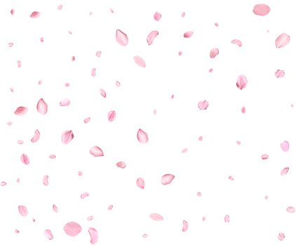Light pink sakura petals. png