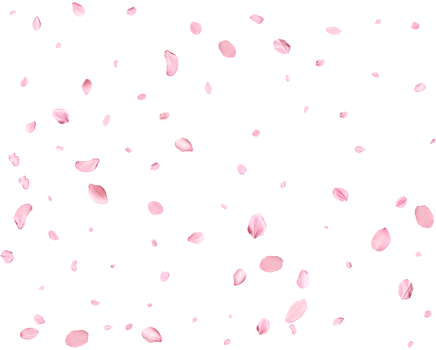 Falling realistic sakura petals. png