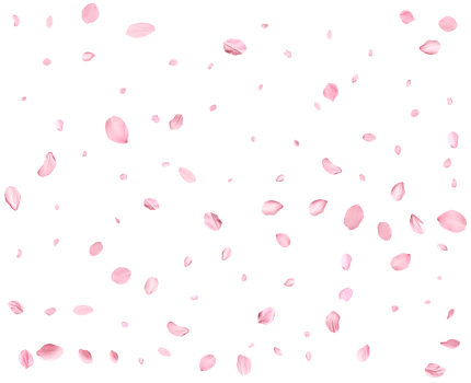 Light pink cherry petals. png