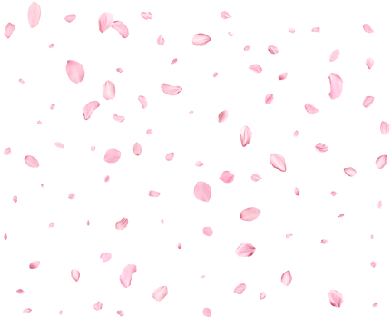 Falling realistic sakura petals. png