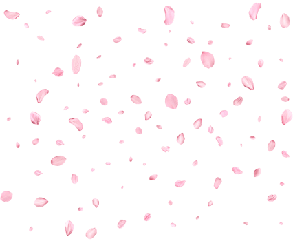 Falling realistic sakura petals. png
