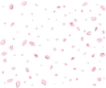 Falling realistic sakura petals. png