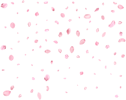 Falling realistic sakura petals. png
