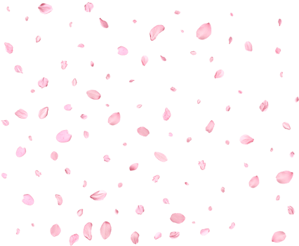 Falling realistic sakura petals. png