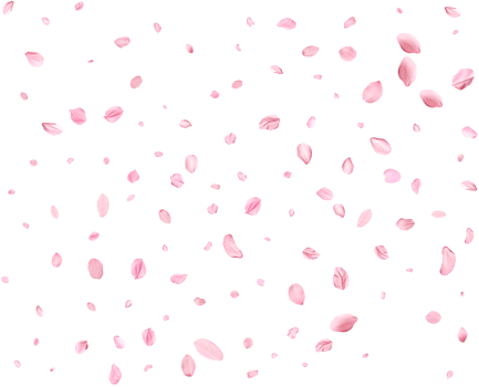 Falling realistic sakura petals. png