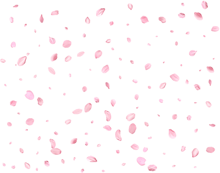 Light pink cherry petals. png