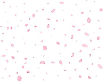 Japanese Spring petals Sakura. png