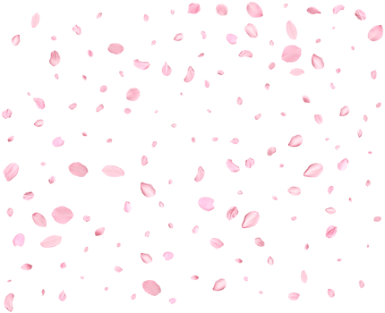 Japanese Spring petals Sakura. png
