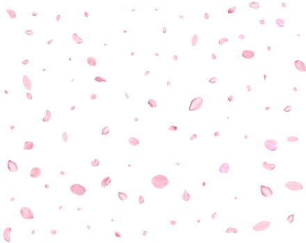 Japanese Spring petals Sakura. png