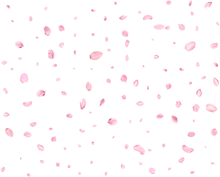 Japanese Spring petals Sakura. png