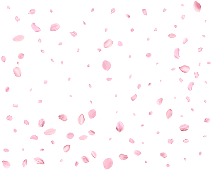 Japanese Spring petals Sakura. png