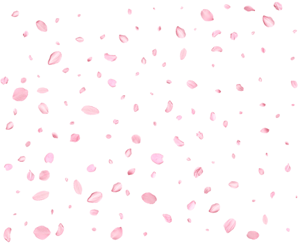 Japanese Spring petals Sakura. png