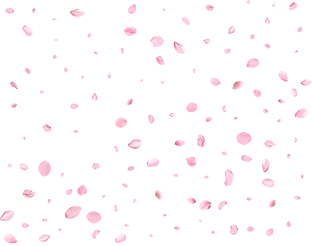 Japanese Spring petals Sakura. png