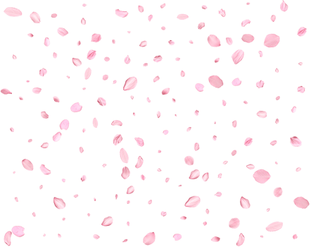 Light pink cherry petals. png