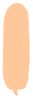 Colorful pastel orange color speech bubble balloon, icon sticker memo keyword planner text box banner, flat png transparent element design