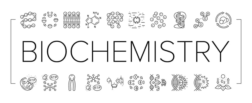 biotechnology chemistry science icons set vector