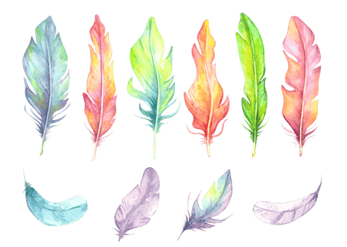 Hand painted watercolor bird feathers set, close up isolated on transparent background. Art scrapbook element, sketch, hand drawn png