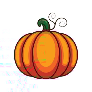 Vector pumpkin isolated on white background