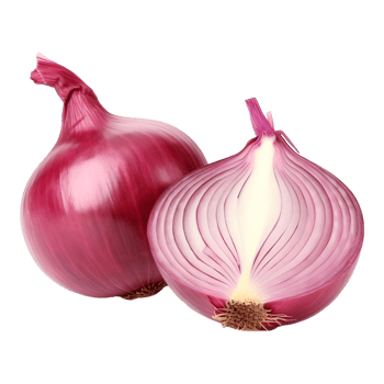 AI generated Onions on Transparent background - Ai Generated png