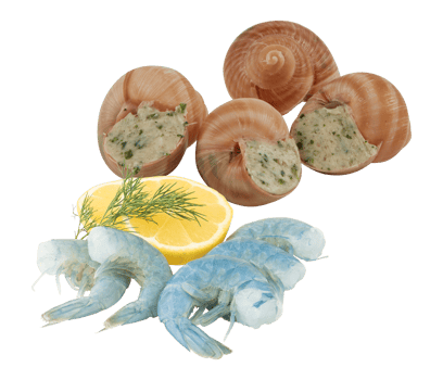 Sea shrimp, shellfish cut out isolated transparent background png