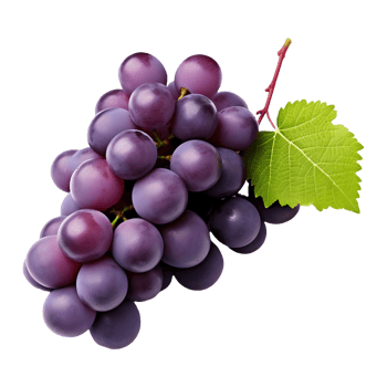 AI generated Purple Grapes with leaves on Transparent background - Ai Generated png