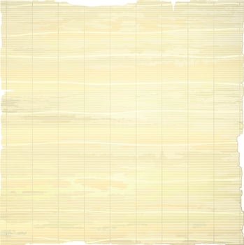 Tropical bamboo background. vector