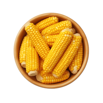 AI generated Bowl with fresh corn cobs on transparent background png
