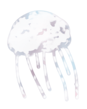 tranparant jelly fish png