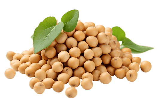 AI generated Soybeans on a Transparent Background. AI png
