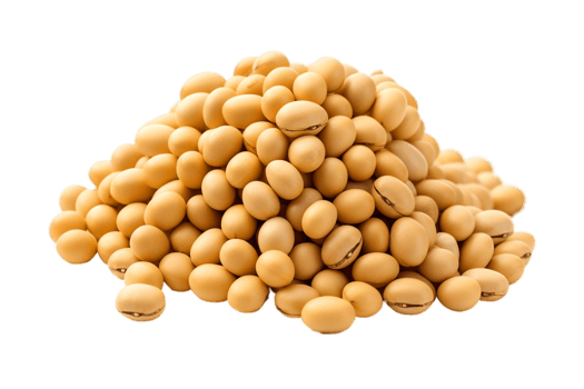 AI generated Soybeans on a Transparent Background. AI png