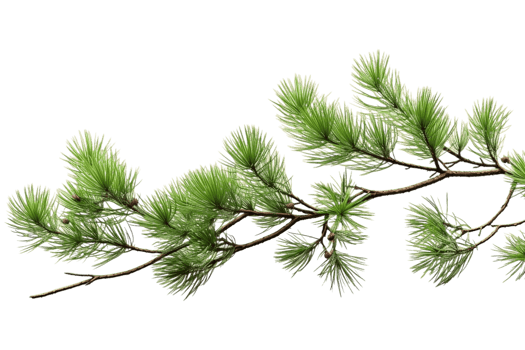 AI generated Rolling Pine with Transparent Background. AI png