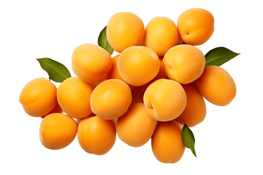 AI generated Apricots on Transparent Background. AI png